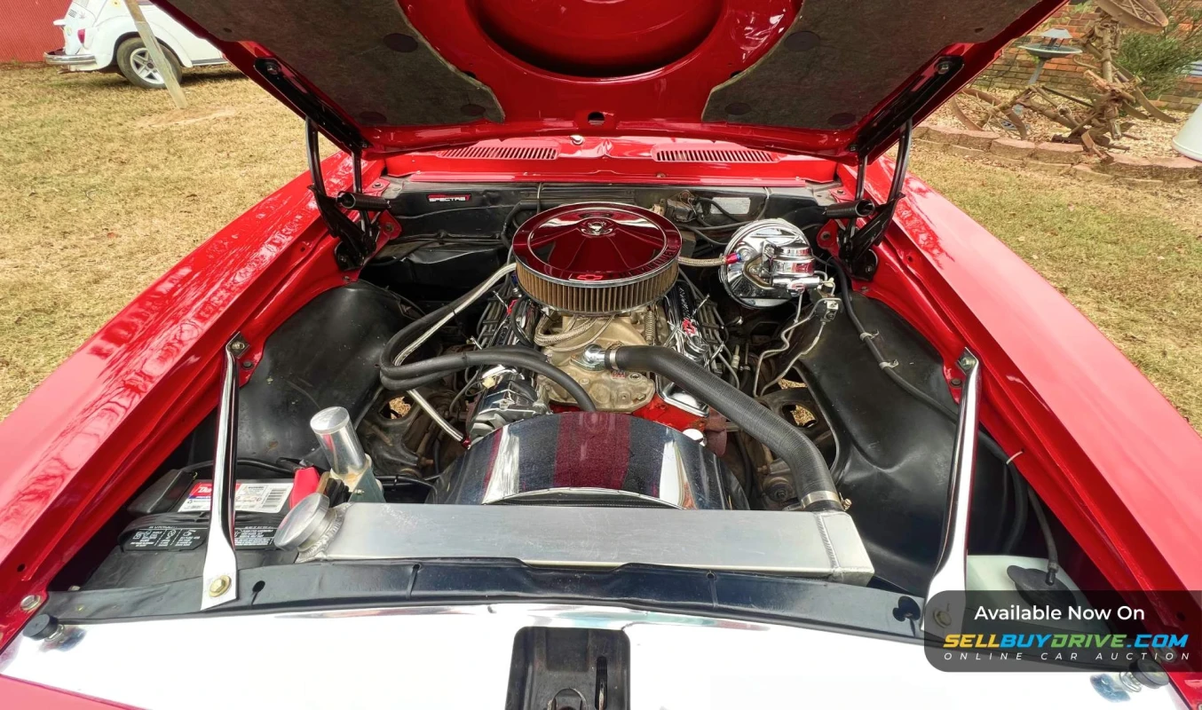 1967 Chevrolet Camaro | SS Tribute