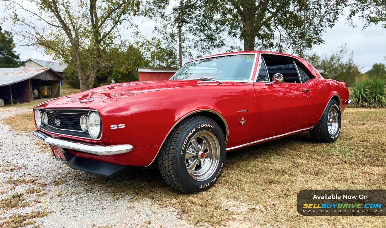 1967 Chevrolet Camaro | SS Tribute
