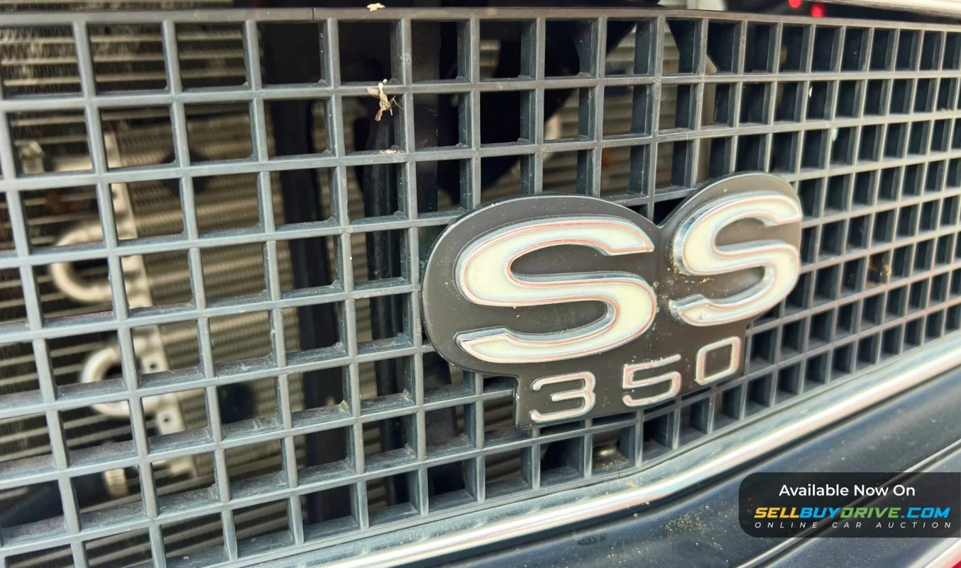 1967 Chevrolet Camaro | SS Tribute