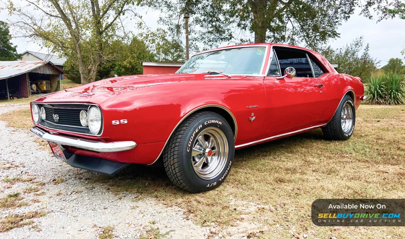 1967 Chevrolet Camaro | SS Tribute