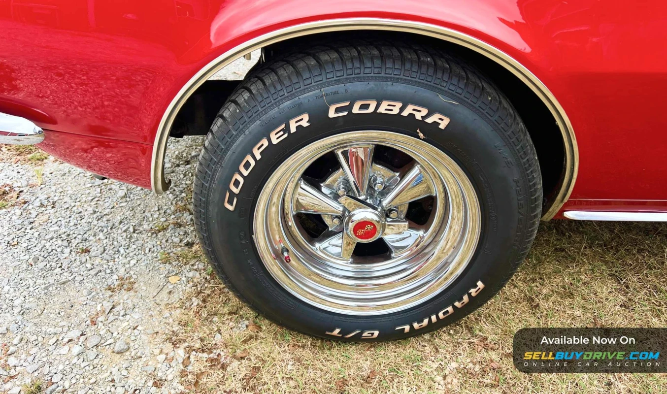 1967 Chevrolet Camaro | SS Tribute