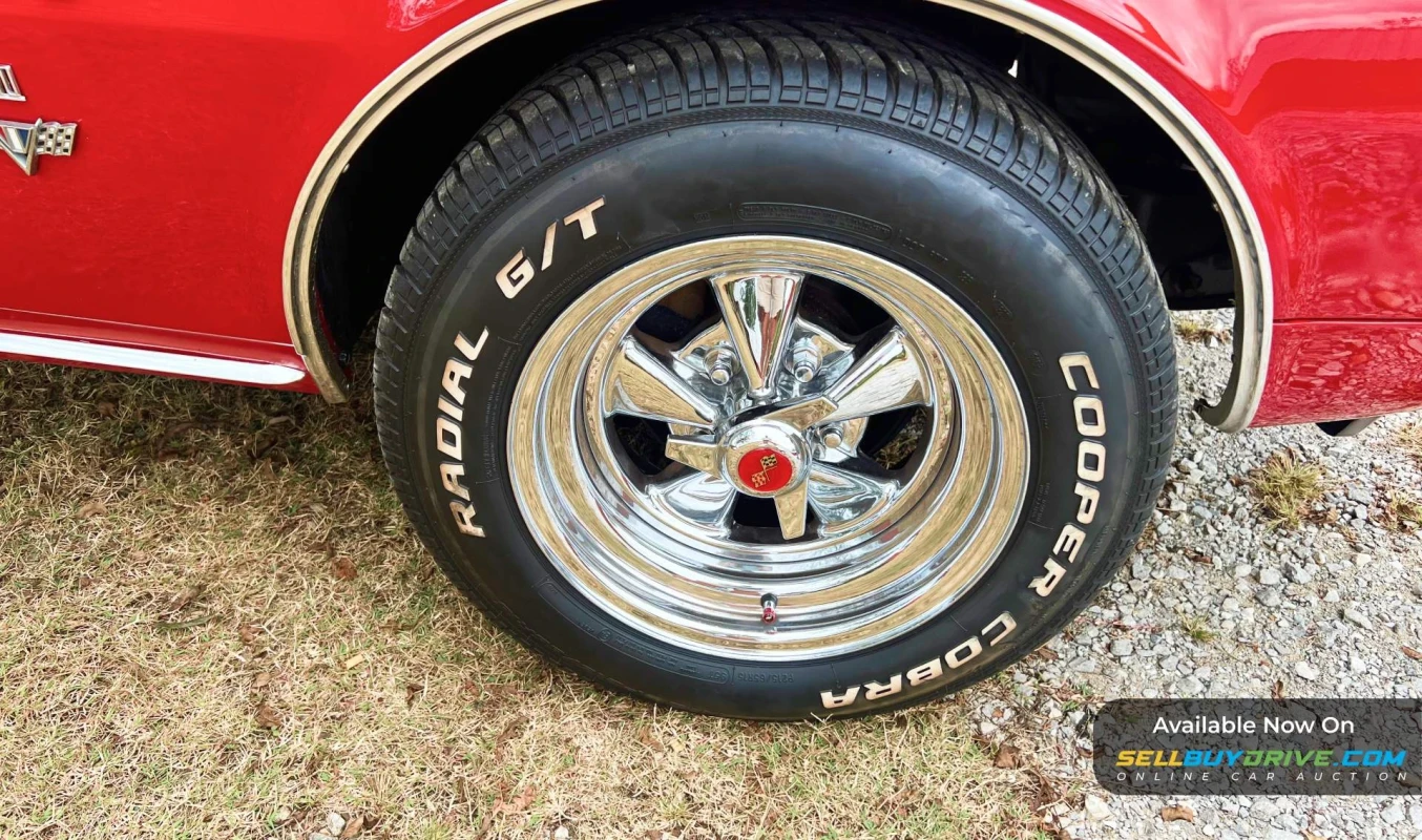 1967 Chevrolet Camaro | SS Tribute