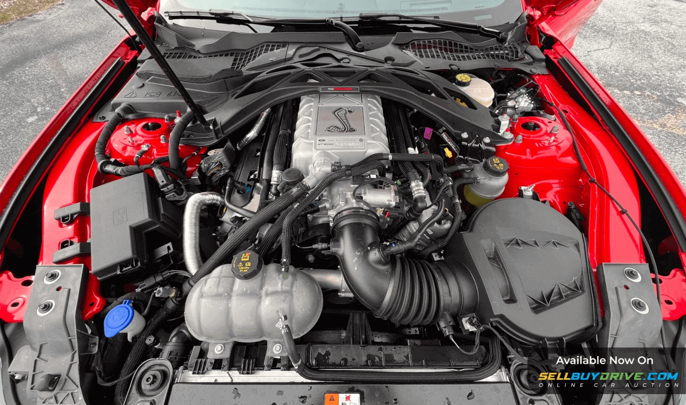 2022 Ford Shelby GT500 Mustang