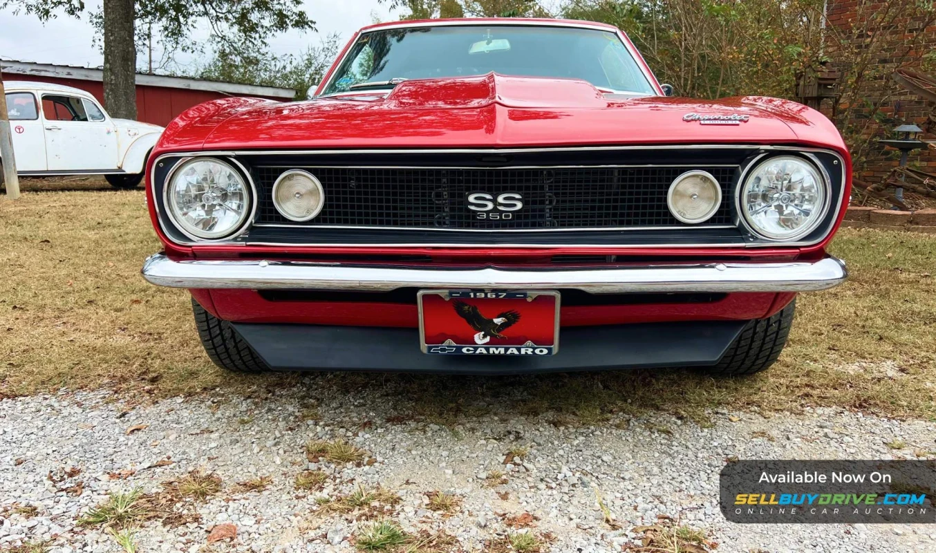 1967 Chevrolet Camaro | SS Tribute